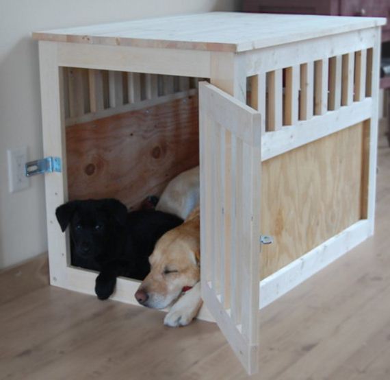 22-Beds - Pup