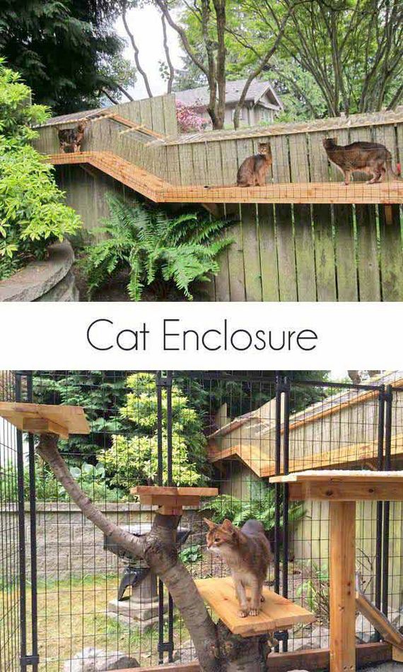 02-Projects-and-Tips-for-Pets-WooHome