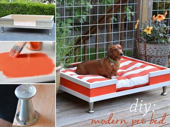 10-Projects-and-Tips-for-Pets-WooHome