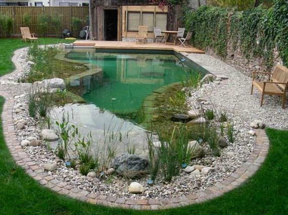02-backyard-natural-swimming-pool
