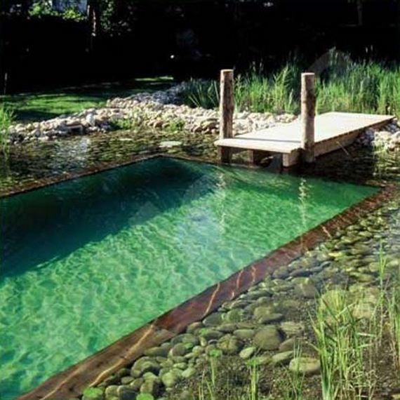 03-backyard-natural-swimming-pool