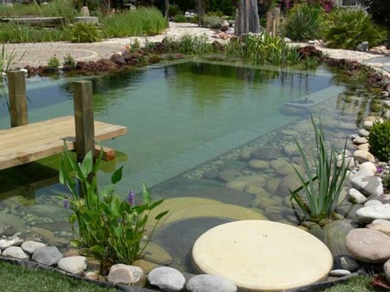 05-backyard-natural-swimming-pool