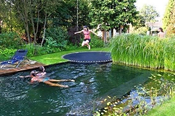 07-backyard-natural-swimming-pool