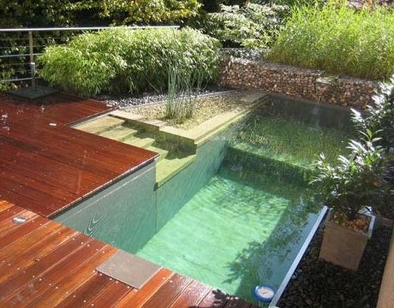 09-backyard-natural-swimming-pool