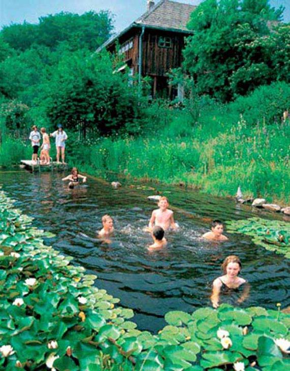 10-backyard-natural-swimming-pool