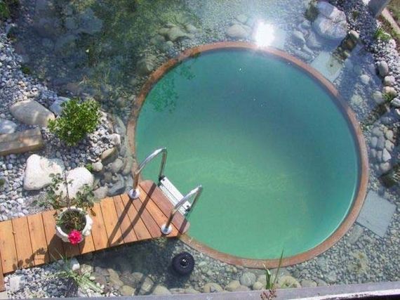 12-backyard-natural-swimming-pool