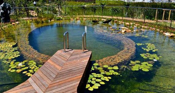 13-backyard-natural-swimming-pool