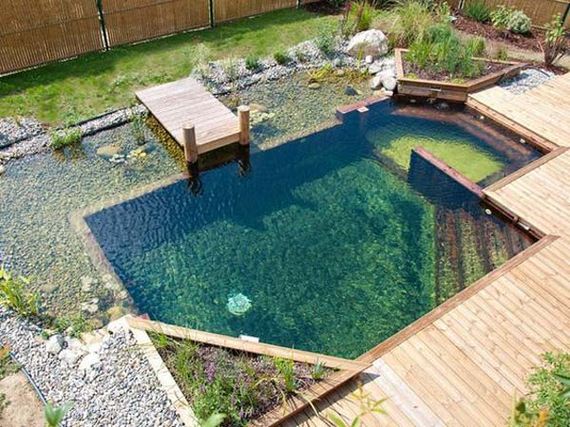 16-backyard-natural-swimming-pool