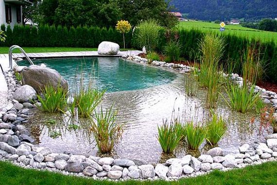 17-backyard-natural-swimming-pool