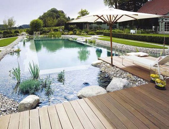 20-backyard-natural-swimming-pool