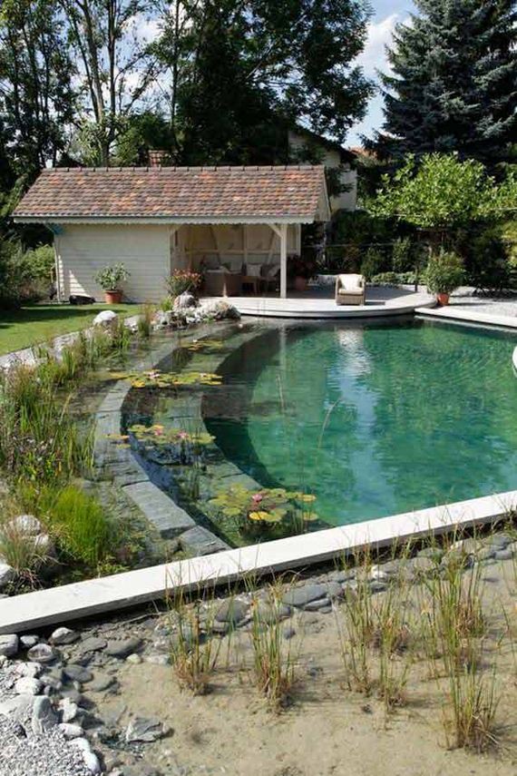 21-backyard-natural-swimming-pool