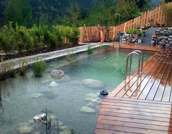 22-backyard-natural-swimming-pool
