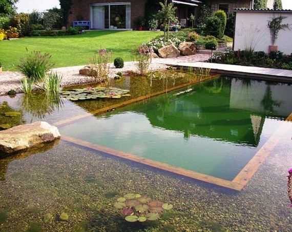 24-backyard-natural-swimming-pool