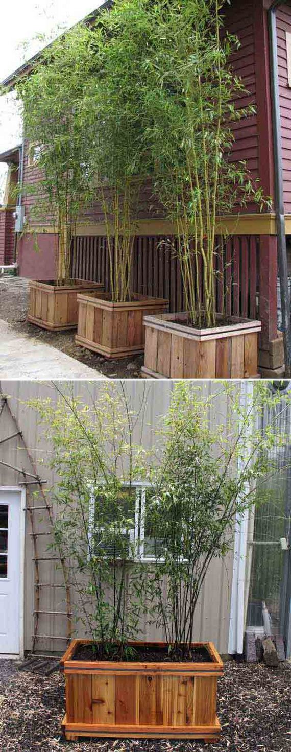 07-Create-Your-Bamboo-Projects