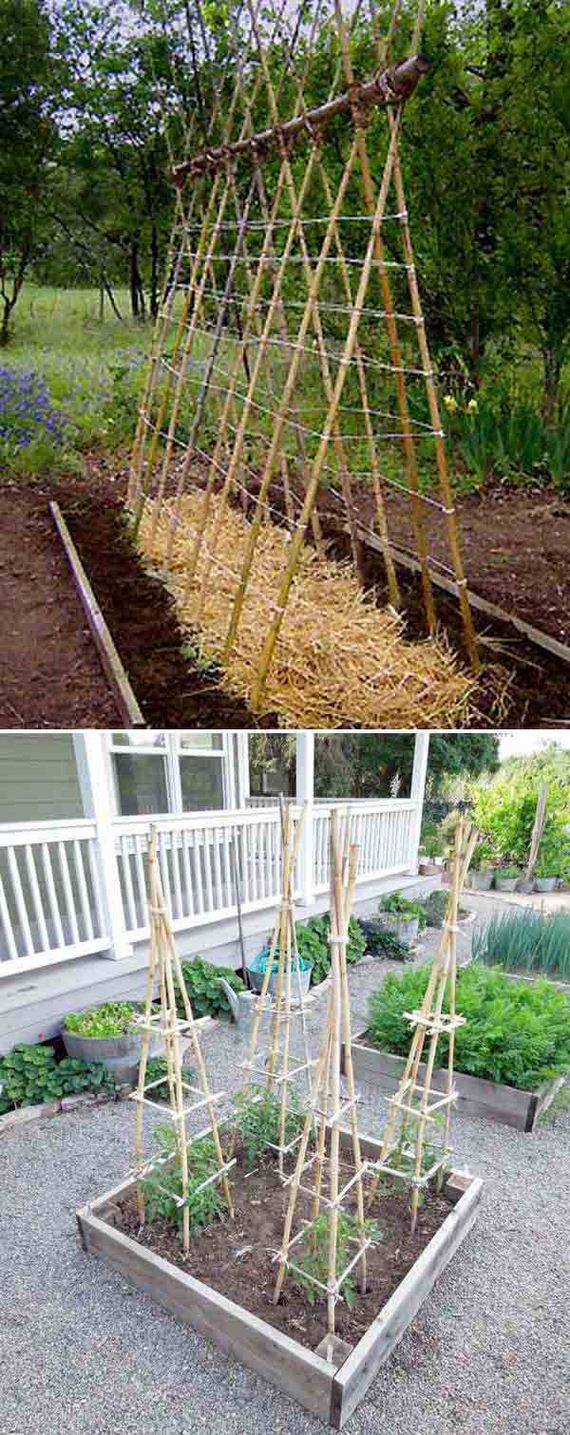 19-Create-Your-Bamboo-Projects