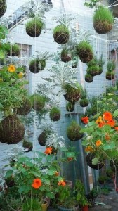 13-small-urban-garden-design-ideas