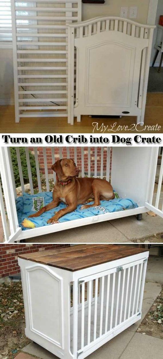 21-Projects-and-Tips-for-Pets-WooHome