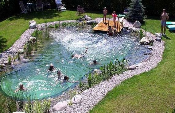 04-backyard-natural-swimming-pool
