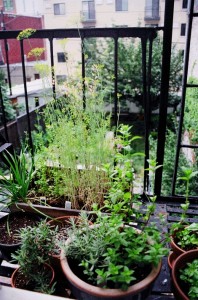 06-small-urban-garden-design-ideas