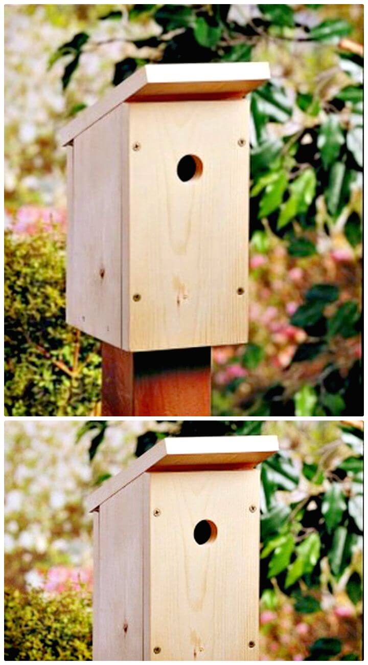 Easy And Cool DIY Birdhouse Ideas - DIYCraftsGuru